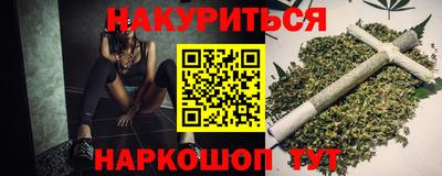 spice Гатчина