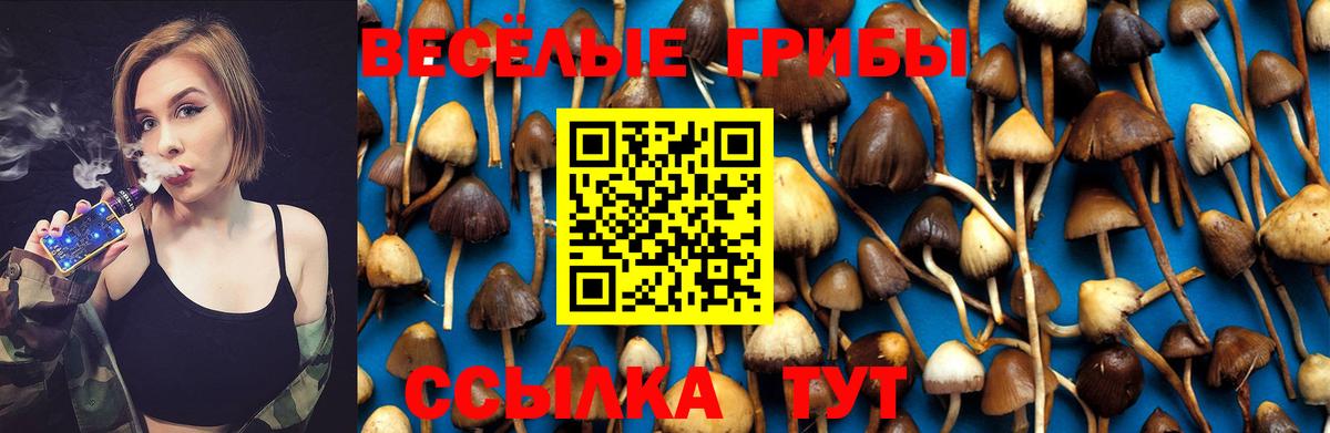 Балашиха  Псилоцибиновые грибы Psilocybe  цены наркотик  Галлюциногенные грибы Psilocybe  Вход с VPN 