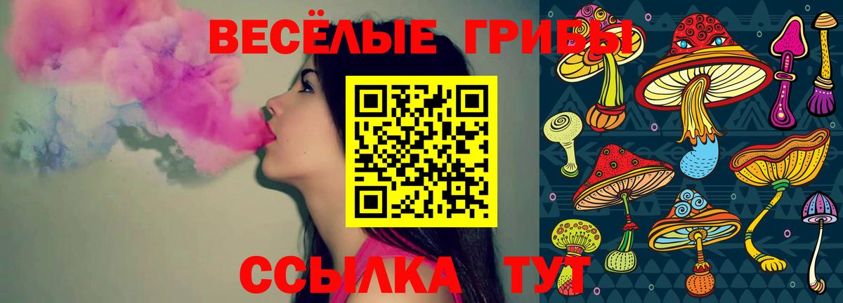 Галлюциногенные грибы Cubensis Балашиха